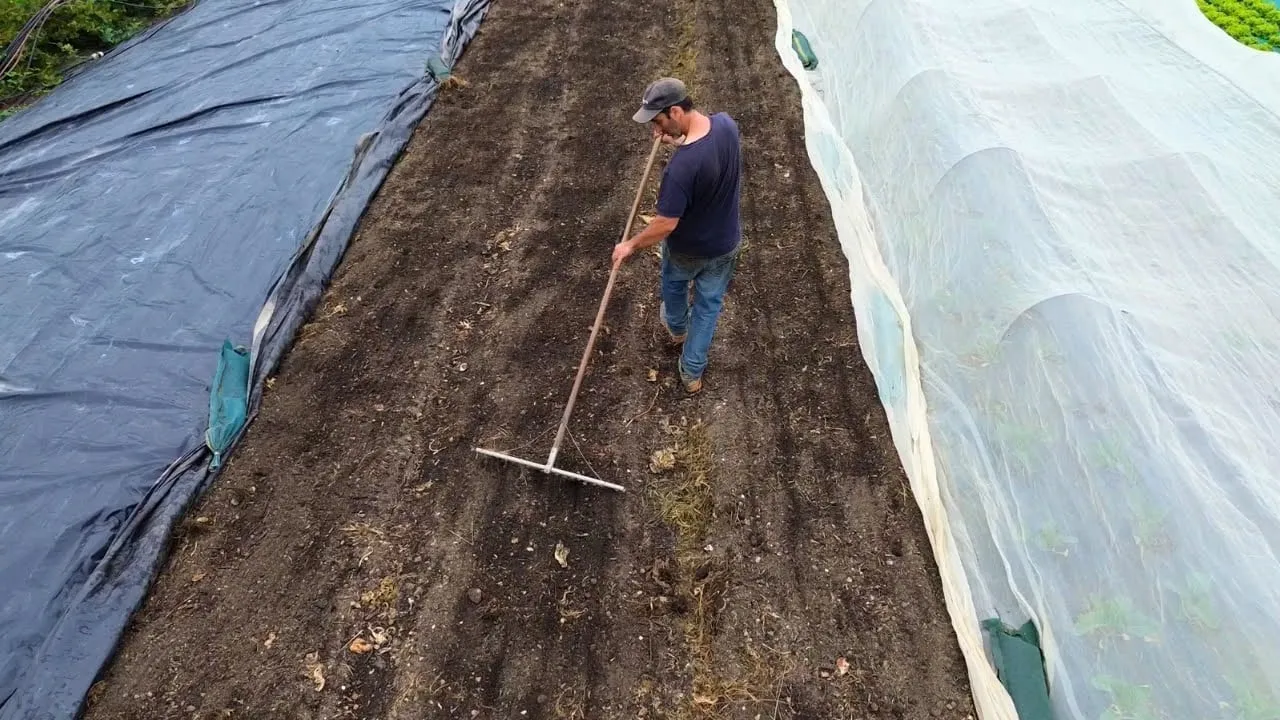 Préparation du sol sous serre aux Jardins de la Valette, travail manuel à la grelinette